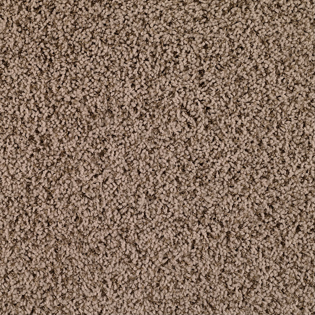 shaw-carpet